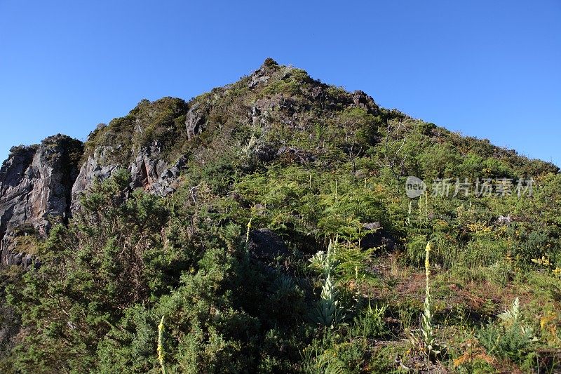 格兰德贝纳雷 - 留尼汪岛